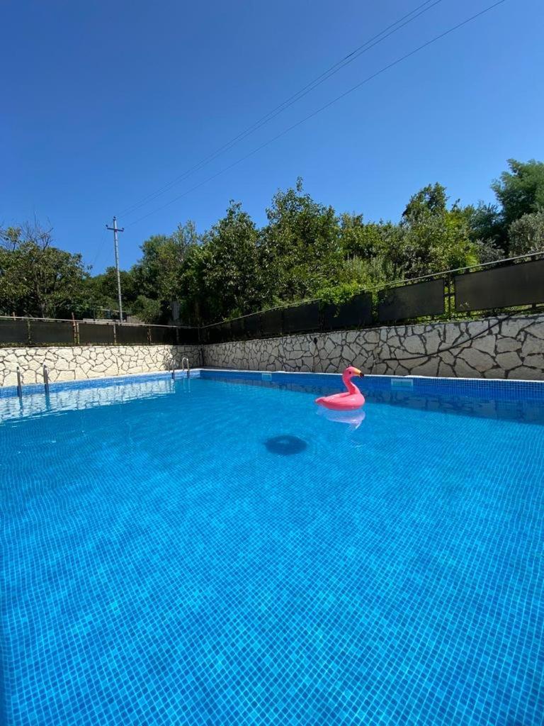 Park-hotel Abkhazia Gantiadi Dış mekan fotoğraf