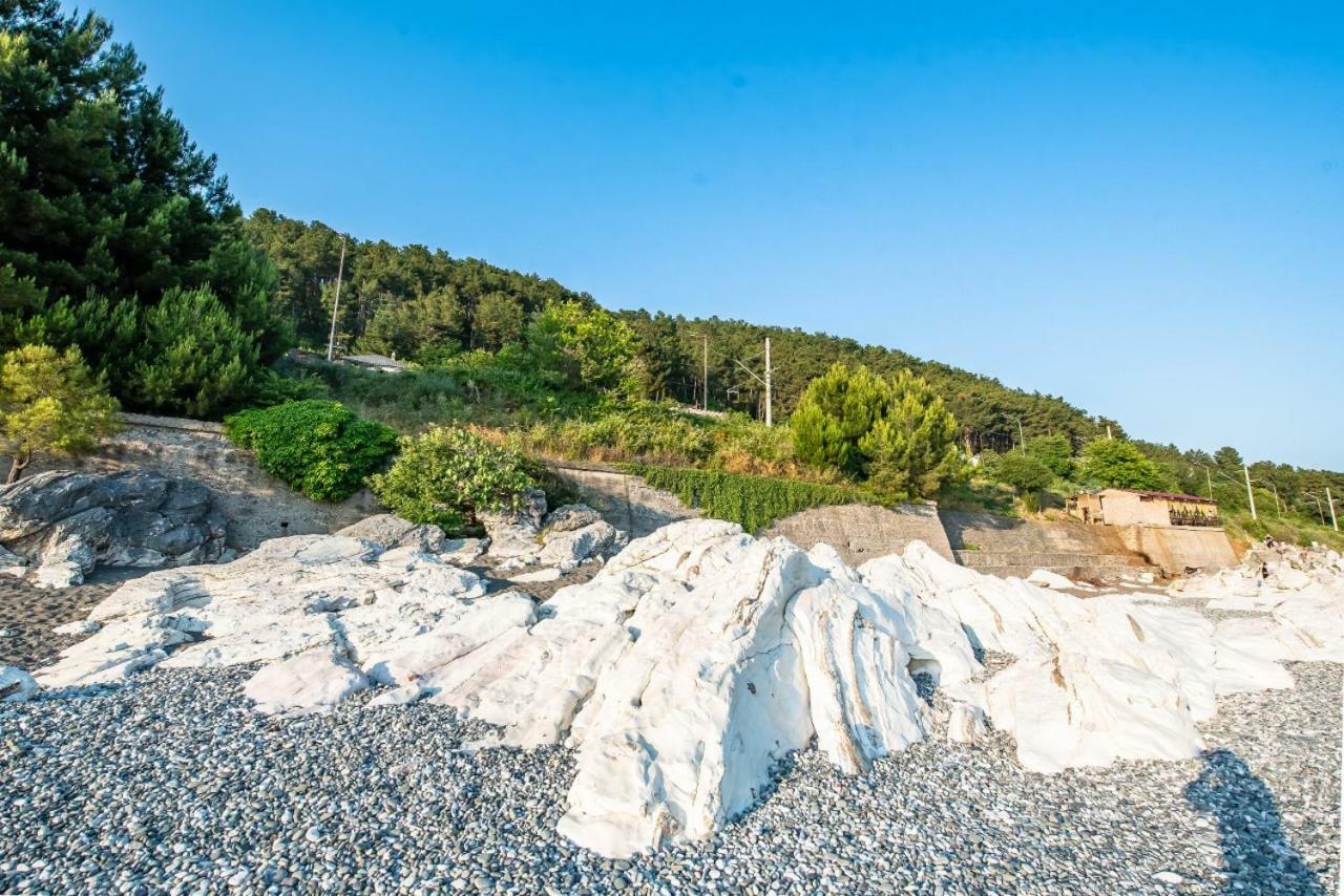 Park-hotel Abkhazia Gantiadi Dış mekan fotoğraf